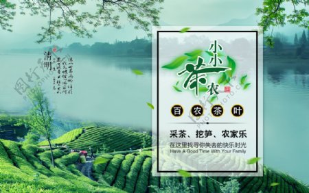 茶叶宣传海报设计psd素