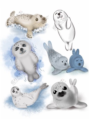 国际海豹节小海豹卡通形象元素手绘合集