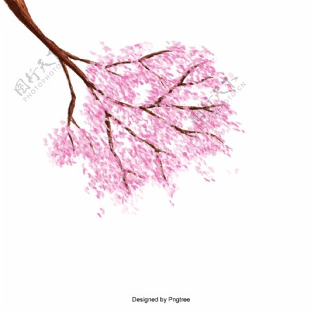 樱桃用鲜花blossomtree矢量插图