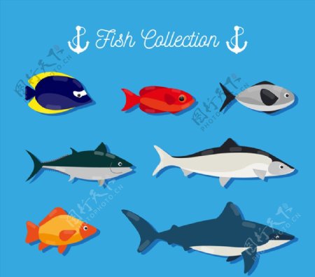 7款创意海洋鱼类设计