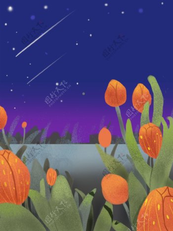 唯美夜晚花卉植物插画背景