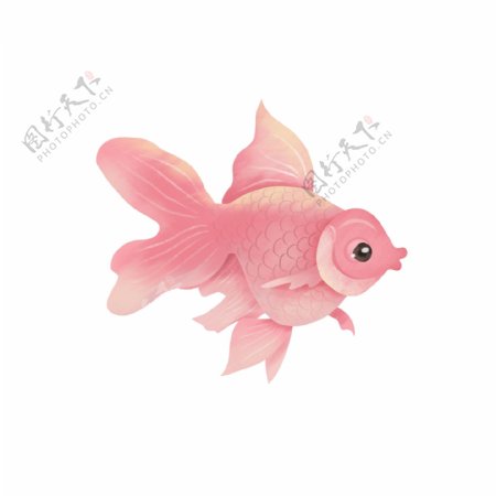 手绘一只粉红色小鱼设计