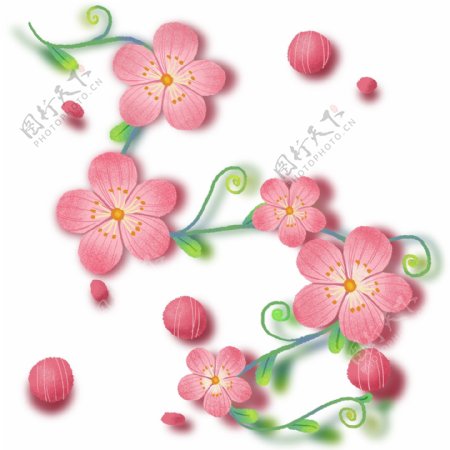 手绘精致梅花花朵图案花纹装饰