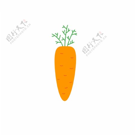 天然植物食物胡萝卜营养