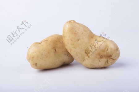 生活常见蔬菜之土豆3