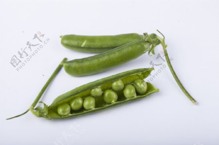 常见的蔬菜之豌豆2