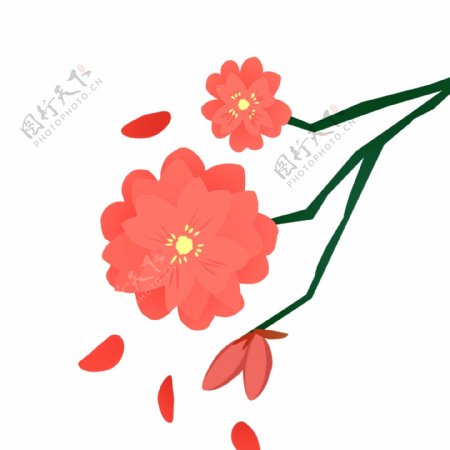 粉色樱花花苞插画
