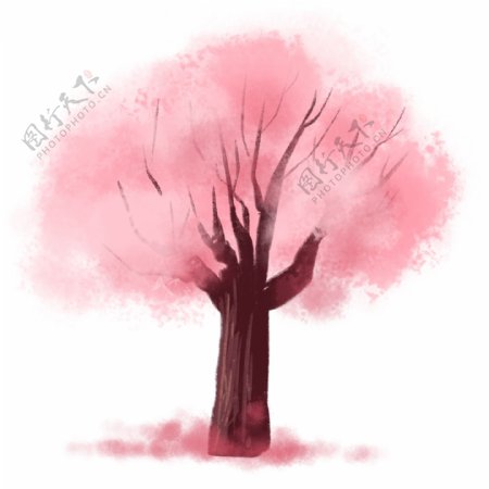 漂亮的粉色樱花树