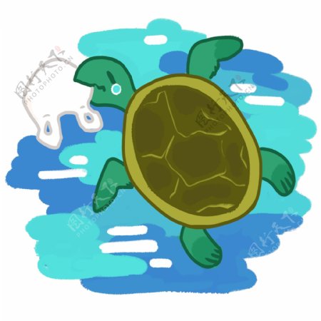 海洋生物乌龟插画