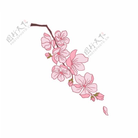 飘落的粉色樱花插画