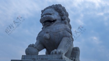 蓝天下的石狮子高清图片
