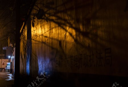 城市夜景树影墙壁摄影图