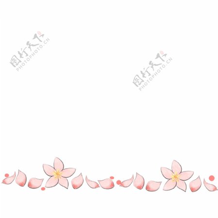 花朵分割线卡通插画