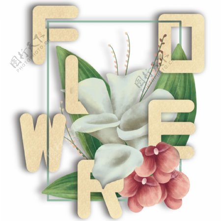 手绘水彩花朵与字母马蹄莲可商用插画配图