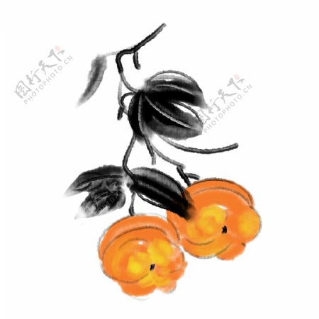 水墨风格中国风柿子插画