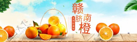 水果橘子橙子banner