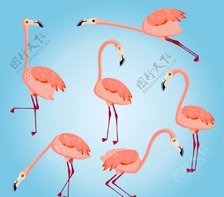 6款粉色火烈鸟设计