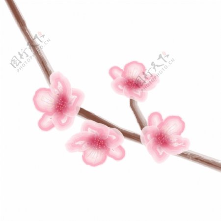 水彩桃花植物粉色