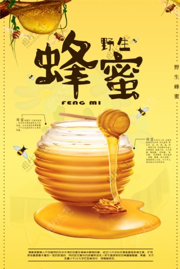 野生蜂蜜海报