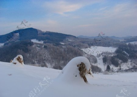 松岭雪村