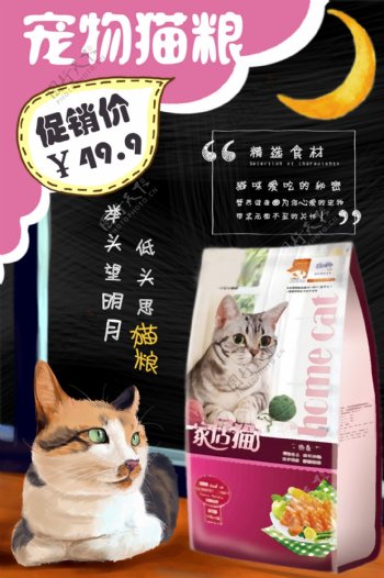宠物猫粮促销海报