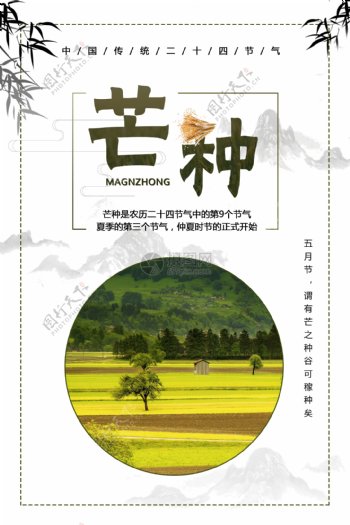 芒种二十四气节中国传统海报