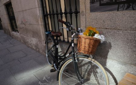 鲜花与自行车