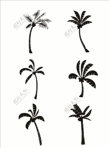 椰子树椰子树01椰子树