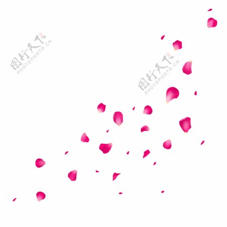 粉红色漂浮玫瑰花瓣