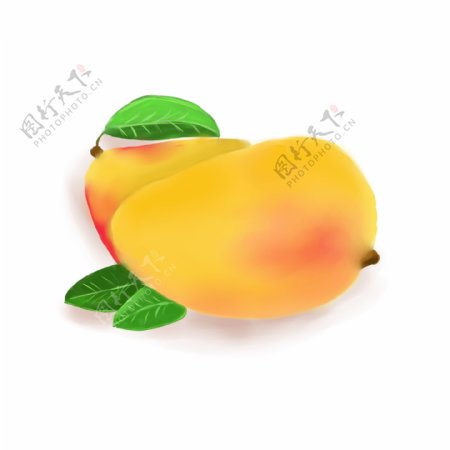 芒果手绘两个芒果