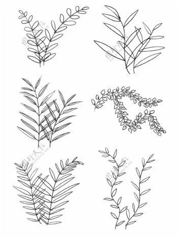 手绘插画黑白线描植物叶子