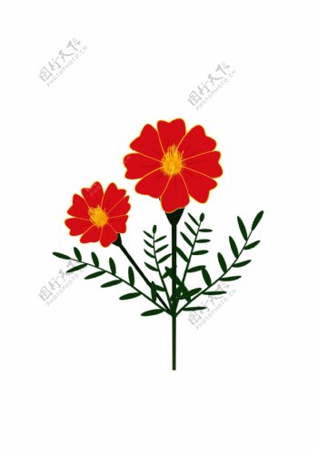 简约手绘矢量红色菊科孔雀草花朵设计元素