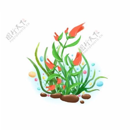 海底世界的小植物
