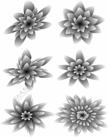 创意黑白简约抽象花朵装饰图案