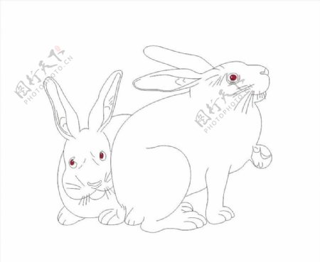 兔子手绘图