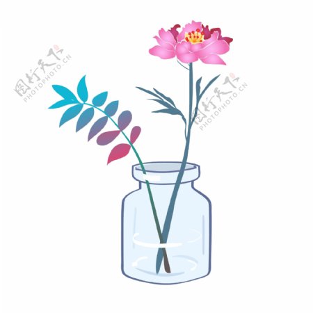 3小清新文艺植物花卉水瓶素材