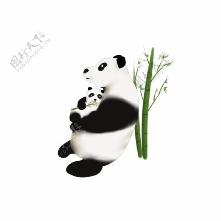 母亲节动物熊猫母亲和孩子图案