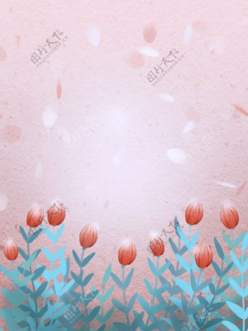清晰唯美粉色系花卉背景