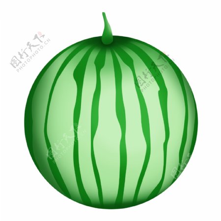 绿色圆形西瓜