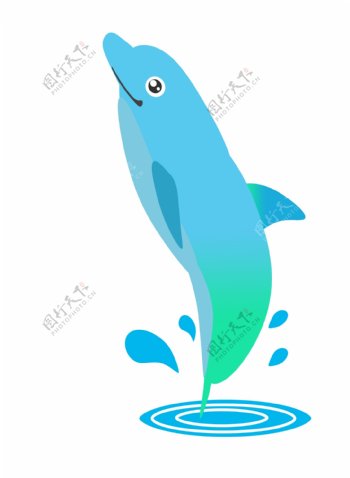 双色海洋海豚