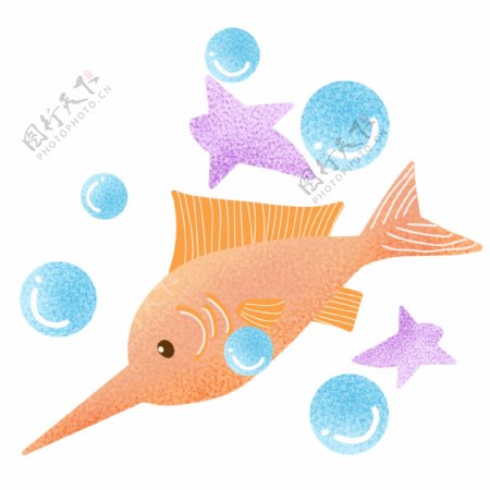 海洋生物小鱼动物