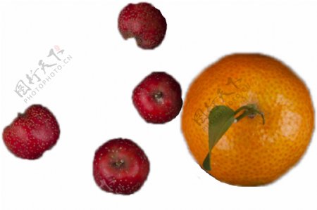 四个山楂和一个橘子