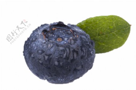 一个可口新鲜的蓝莓