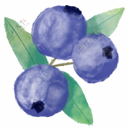 水彩风蓝莓