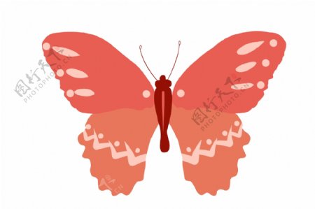 红色蝴蝶动物插画