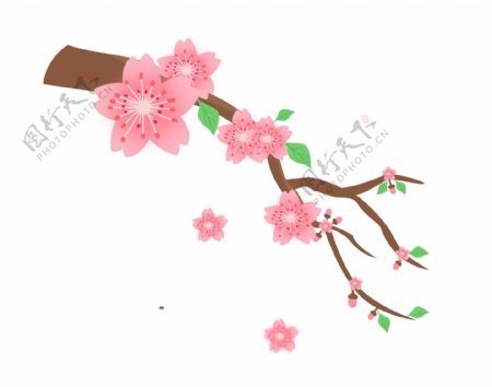 粉嘟嘟的樱花插图