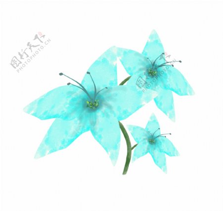 蓝色的花朵装饰插画