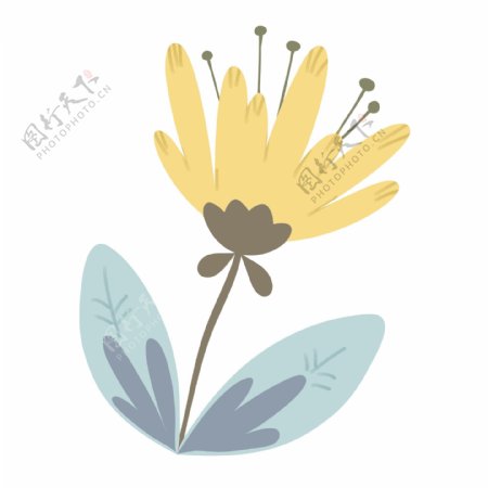 黄色立体花朵插图
