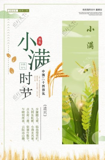 小满时节