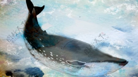 奇幻蓝鲸遨游背景
